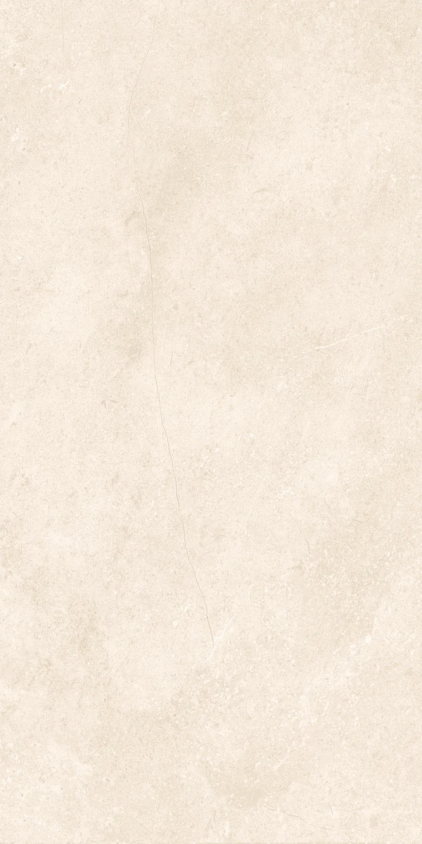 face 6